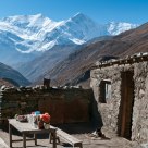 Annapurna Circuit Tea Shop